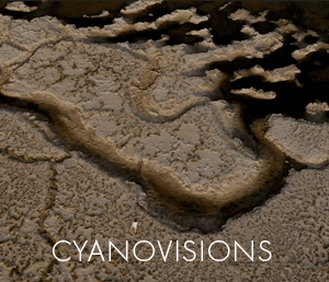 Cyanovisions